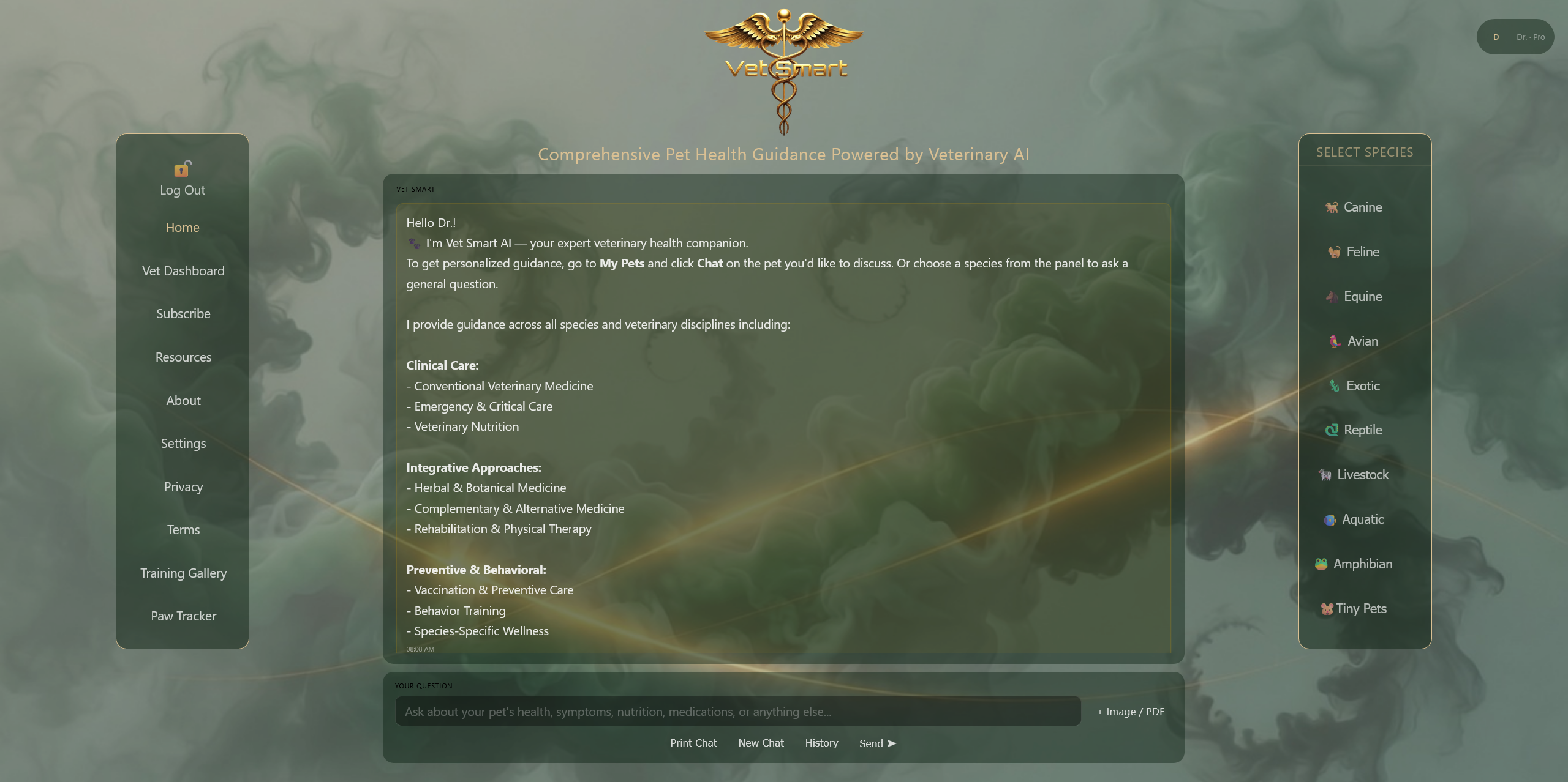 Homepage